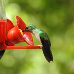 Photo taken by Mary D