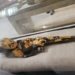 Photo taken by Kim M