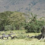 Photo taken by Kristin M