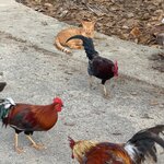 Photo taken by Don M