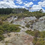 Photo taken by Thao T