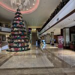 Photo taken by Kim D