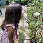 Photo taken by Sangini S