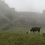 Photo taken by Brenna M