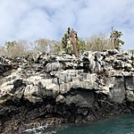 Photo taken by Meggan M