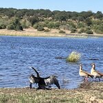 Photo taken by rhonda c