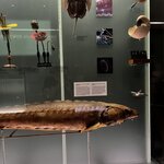 Photo taken by Dee C