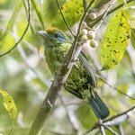 Photo taken by Graham D