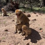 Photo taken by Don G