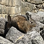 Photo taken by JOhn H