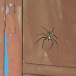 Photo taken by Jill S