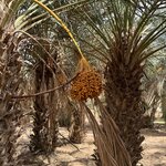 Photo taken by Della O