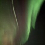 Photo taken by Nikki S