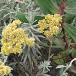 Photo taken by Kristin M