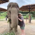 Photo taken by Pam S