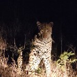 Photo taken by rhonda c