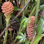 Photo taken by Alexia M