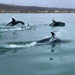 Photo taken by Marcy M