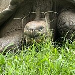 Photo taken by Randy H