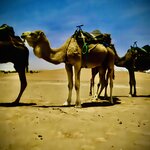 Photo taken by Colin M