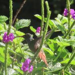 Photo taken by Pat K