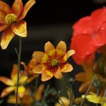 Photo taken by Eric T