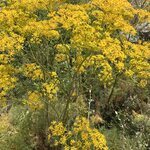 Photo taken by Paula H