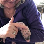 Photo taken by Caroline V