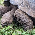 Photo taken by Jennifer A