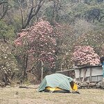 Photo taken by Sin kwan P