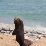 Photo taken by Jananee J