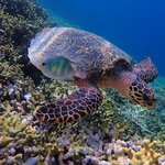 Photo taken by Minu C