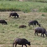 Photo taken by rhonda c