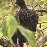 Photo taken by Steven C