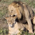 Photo taken by Kaye D