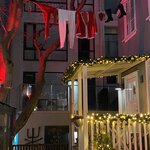 Photo taken by Paula M