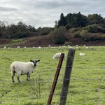 Photo taken by David L