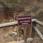 Photo taken by Barb M