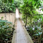 Photo taken by Brett F