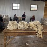 Photo taken by Sharon B