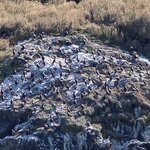 Photo taken by Joe S