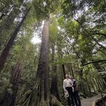 Photo taken by Don P