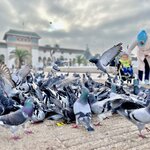 Photo taken by KHEE BOON L