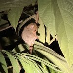 Photo taken by Edit M