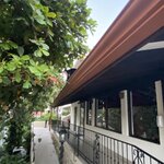 Cappuccino monkey on hotel property  | Photo taken by Marilyn L