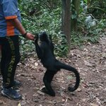 Photo taken by Bree J