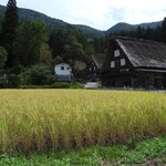 Photo taken by Jason P