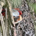 Photo taken by Sushma S