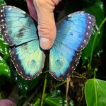 Photo taken by Tenley G