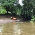 Photo taken by Cassio S